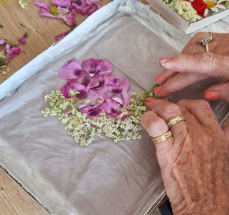 Zentrum für Betreuung und Pflege Tagespflege „Fernblick“