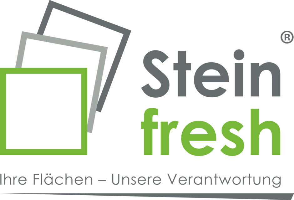 steinfrech logo