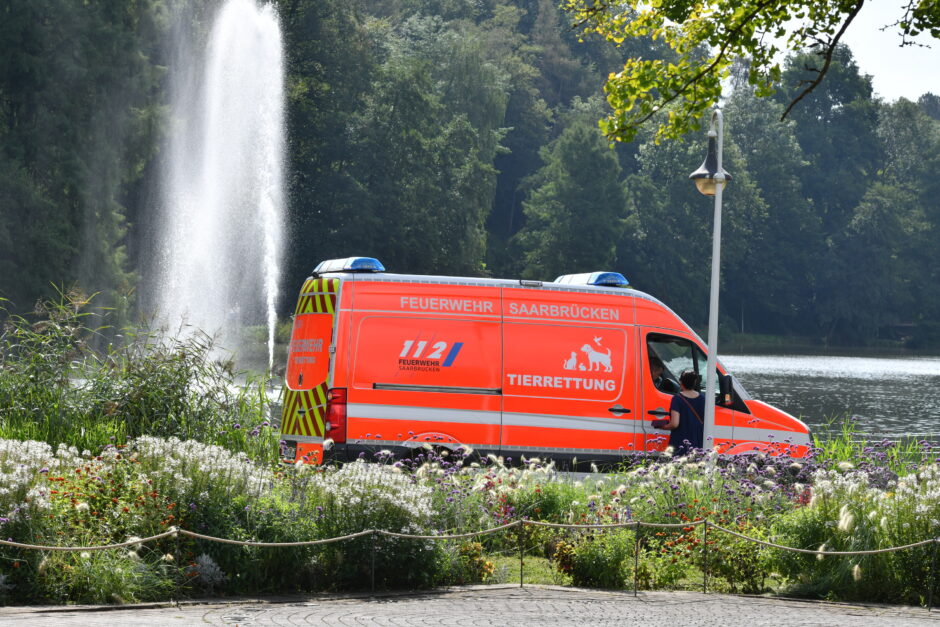 Bildergalerie: Feuerwehreinsatz wegen verletzter Nilgans im DFG