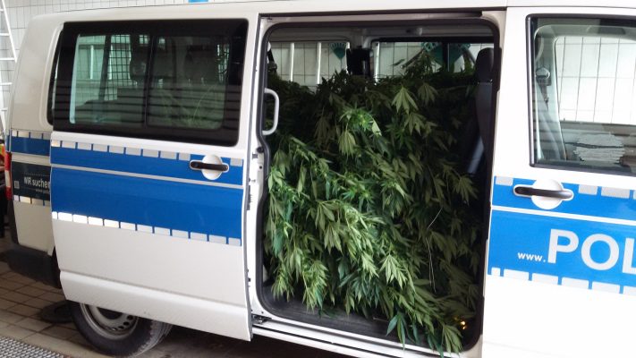 Mit einem Polizeibus wurden die Pflanzen abtransportiert. Foto: Polizeidirektion Pirmasens