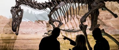 Das Skelett eines Allosaurus. Symbolfoto: dpa-Bildfunk/Peter Steffen