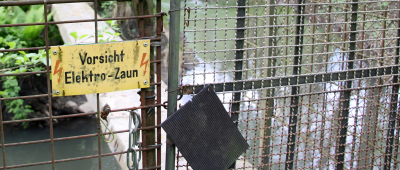 Auf dem über eine Brücke erreichbaren Gartengelände hatte der 64-jährige Pächter eine Selbstschussanlage installiert. Foto: dpa-Bildfunk/Katja Sponholz