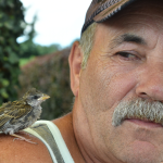 Das Spatzenkind weicht Richard Diersch nicht von der Seite. Foto: BeckerBredel