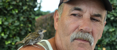 Das Spatzenkind weicht Richard Diersch nicht von der Seite. Foto: BeckerBredel