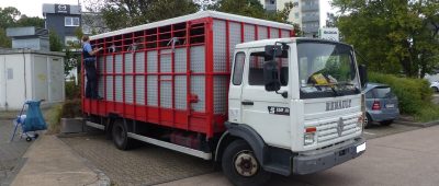 Das Fahrzeug, das in Saarlouis gestoppt wurde, war laut Polizei nicht für den Transport von Pferden geeignet. Foto: Polizei.