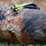 Eine Fliegerbombe wie diese wurde heute in Merzig entschärft. Symbolfoto: Ralf Hirschberger/dpa-Bildfunk.