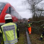 Ein umgestürzter Baum auf Bahngleisen bei Blieskastel sorgte am Sonntag für einen Einsatz der Feuerwehren. Foto: Einsatzdokumentation/Feuerwehr Blieskastel-Mitte