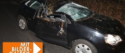 Der VW Polo wurde durch den umfallenden Baum zertrümmert. Foto: BeckerBredel