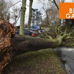 In Alt-Saarbrücken krachte ein Baum auf einen Pkw. Foto: BeckerBredel.