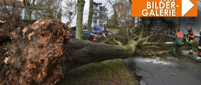 In Alt-Saarbrücken krachte ein Baum auf einen Pkw. Foto: BeckerBredel.