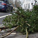 Bei schweren Sturmböen waren Anfang der Woche im Saarland einige Bäume umgestürzt. Archivfoto: BeckerBredel.