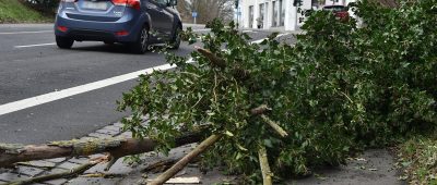 Bei schweren Sturmböen waren Anfang der Woche im Saarland einige Bäume umgestürzt. Archivfoto: BeckerBredel.