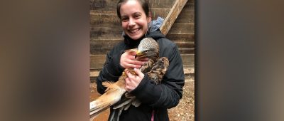 Dieses Bild zeigt Frau Palmieri (Tiermedizinische Fachangestellte der Tierarztpraxis SaLu) mit dem verletzten Milan. Foto: Deutscher Tierschutzbund Landesverband Saarland e.V./Jörg Langer