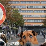 Saarbrücken soll hundefrei werden. Ausgangsbild: Becker & Bredel; Fotomontage: SOL.DE