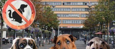 Saarbrücken soll hundefrei werden. Ausgangsbild: Becker & Bredel; Fotomontage: SOL.DE