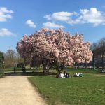 Am Sonntag erwartet das Saarland wieder frühlingshafte Temperaturen. Foto:SOL.DE