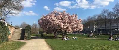 Am Sonntag erwartet das Saarland wieder frühlingshafte Temperaturen. Foto:SOL.DE