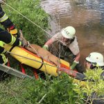 Der Rehbock war am Montag in die Ill gefallen. Foto: Feuerwehr Eppelborn.