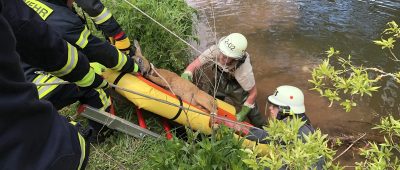 Der Rehbock war am Montag in die Ill gefallen. Foto: Feuerwehr Eppelborn.