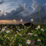 Viele Wolken trüben das Pfingstwochenende im Saarland. Archivfoto: BeckerBredel