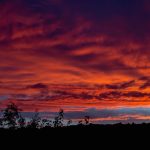 Das Wetter im Saarland wird vor Fronleichnam sommerlich - inklusive Sommergewitter. Archivfoto: BeckerBredel