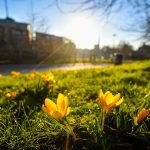 Das Wetter im Saarland bleibt mild und sonnig. Symbolfoto: dpa-Bildfunk