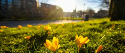 Das Wetter im Saarland bleibt mild und sonnig. Symbolfoto: dpa-Bildfunk