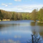 Der Burbacher Waldweiher in Saarbrücken ist mit Blaualgen befallen. Foto: AnRo0002/CC0 1.0