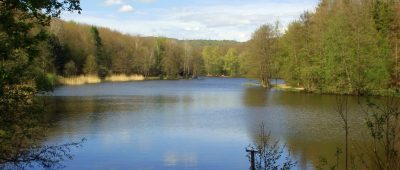 Der Burbacher Waldweiher in Saarbrücken ist mit Blaualgen befallen. Foto: AnRo0002/CC0 1.0