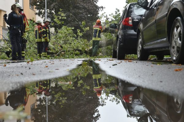Umgestürzte Bäume und geflutete Straßen sorgten am Freitag (9. August) in St. Wendel für Feuerwehreinsätze. Archivfoto (2018): BeckerBredel