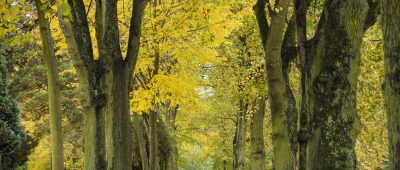 Zum Septemberanfang zieht der Herbst ins Saarland ein. Das Wetter wird kühler. Archivfoto (Völklingen): BeckerBredel