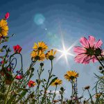 Sonnig und überwiegend trocken startet im Saarland der September. Foto: Frank Rumpenhorst/dpa-Bildfunk.