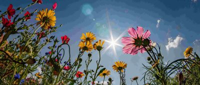 Sonnig und überwiegend trocken startet im Saarland der September. Foto: Frank Rumpenhorst/dpa-Bildfunk.