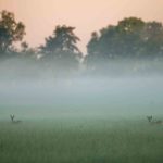 Kühlere Temperaturen werden in den nächsten Tagen im Saarland erwartet. Symbolfoto: Lino Mirgeler/dpa-Bildfunk.