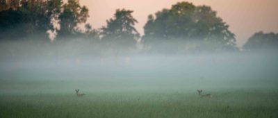 Kühlere Temperaturen werden in den nächsten Tagen im Saarland erwartet. Symbolfoto: Lino Mirgeler/dpa-Bildfunk.