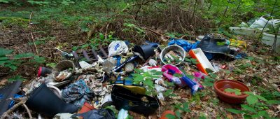 Im Wald an der L117 kam es zu einer illegalen Müllablagerung. Symbolfoto: Patrick Pleul/dpa-Bildfunk