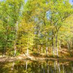 Am Wochenende wird es im Saarland noch einmal spätsommerlich warm und sonnig. Foto: BeckerBredel