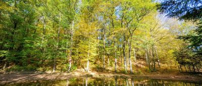 Am Wochenende wird es im Saarland noch einmal spätsommerlich warm und sonnig. Foto: BeckerBredel