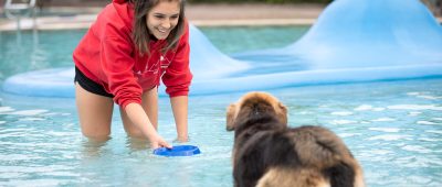 Im Freibad Landsweiler-Reden findet am 19.09.2019 ein Hundeschwimmtag statt. Symbolfoto: Sina Schuldt/dpa-Bildfunk