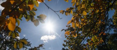 An Sonntag und Montag (13./14. Oktober) wird es im Saarland sommerlich warm und sonnig. Symbolfoto: Tom Weller/dpa-Bildfunk