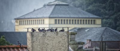 Am Wochenende wird das Wetter im Saarland regnerisch und wolkig. Archivfoto: BeckerBredel