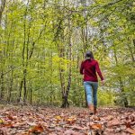 Während das Wetter im Saarland am Samstag eher trübe aussieht, herrscht am Sonntag herbstliches Spazierwetter. Symbolfoto: BeckerBredel