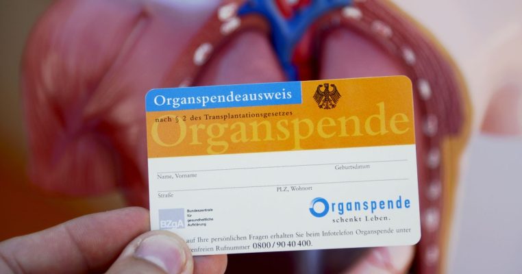 Obwohl die meisten Deutschen Organspende begrüßen, haben zu wenige einen Organspendeausweis. Symbolfoto: Daniel Maurer/dpa-Bildfunk