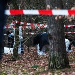 In einem Waldstück zwischen Palzem und Wehr an der Mosel wurde am Sonntag (01.12.2019) ein menschliches Skelett gefunden. Symbolfoto: Paul Zinken/dpa-Bildfunk