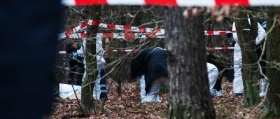 In einem Waldstück zwischen Palzem und Wehr an der Mosel wurde am Sonntag (01.12.2019) ein menschliches Skelett gefunden. Symbolfoto: Paul Zinken/dpa-Bildfunk