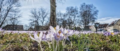 Zumindest die Temperaturen im Saarland werden am Wochenende frühlingshaft. Symbolftoto: BeckerBredel