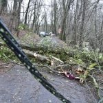 Laut DWD ist mit Gefahren durch herabfallende Äste zu rechnen. Archivfoto: BeckerBredel