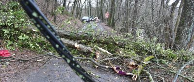 Laut DWD ist mit Gefahren durch herabfallende Äste zu rechnen. Archivfoto: BeckerBredel