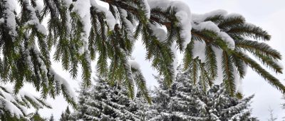 In den Hochlagen kann es am Mittwoch Neuschnee von bis zu zehn Zentimetern geben. Foto: dpa-Bildfunk