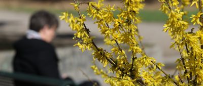 Der Frühling im Saarland ist endlich da. Es wird warm und sonnig, dennoch ist Abstand geboten. Symbolfoto: Oliver Berg/dpa-Bildfunk